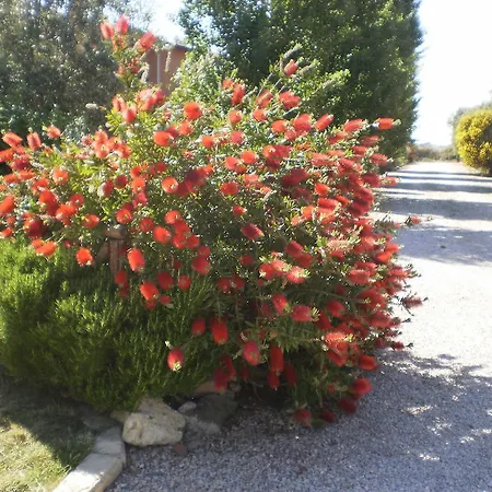Degli Etruschi