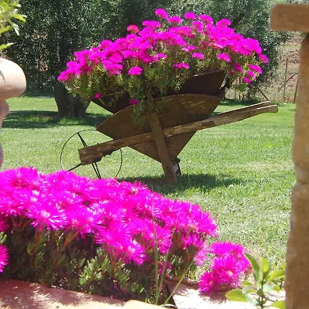 Guest house Degli Etruschi *